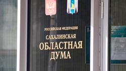 В Сахалинской облдуме обсудили сразу несколько законопроектов о социальной поддержке
