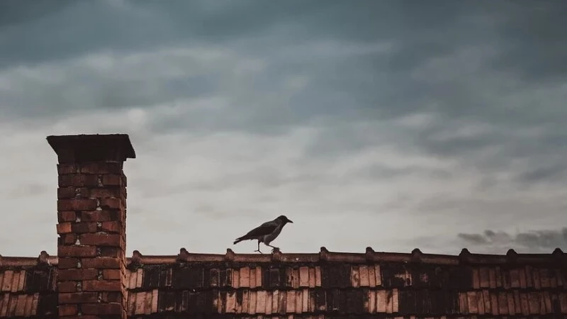 В Тымовском районе крышу сельского дома будут менять 7 месяцев