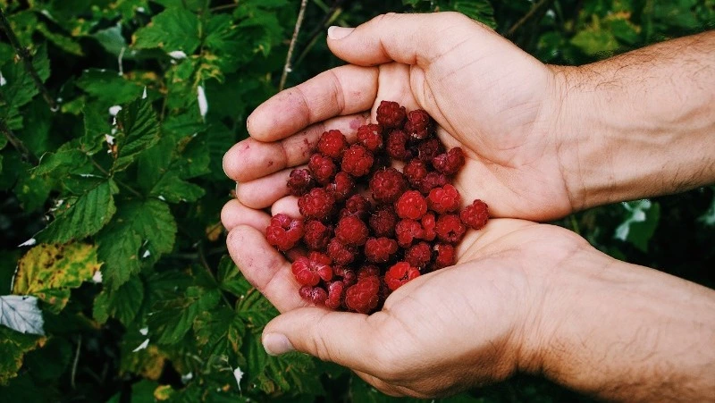 Церковный праздник 4 августа 2025: что нельзя делать в этот день, приметы