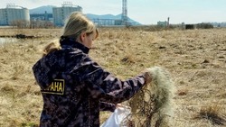 В течение недели в ходе рейдов на водоемах Сахалинской области выявили 43 нарушения