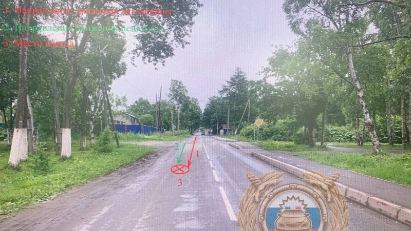 Грузовик наехал на 85-летнюю женщину в Долинском районе