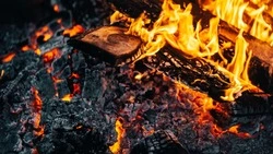 В Корсакове ввели особый противопожарный режим