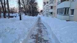 Урбанист заявил, что в Южно-Сахалинске можно пользоваться велосипедом круглый год 