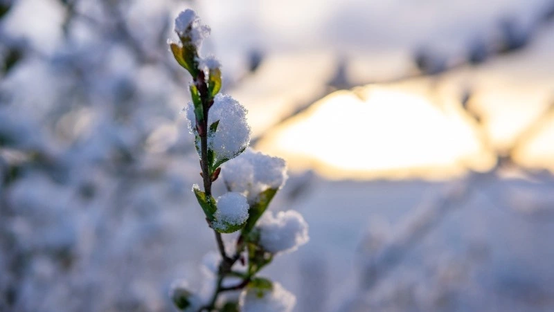Ясное небо и до -19 градусов ждет жителей Южно-Сахалинска 31 декабря