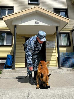 На Сахалине служебная собака помогла выследить вора-нелегала по забытой шапке