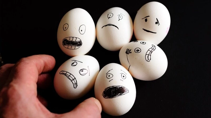 «У кого меньше?»: Дальневосточники померялись яйцами