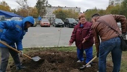 Аллею медиков заложили на территории Центра скорой помощи и медицины катастроф в Южно-Сахалинске