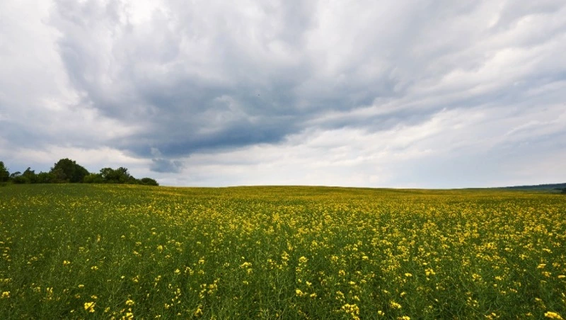 Церковный праздник 8 июня 2023: что нельзя делать в этот день, приметы