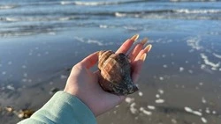 Лучшие места для отдыха в выходные на Сахалине: чем заняться в последние теплые дни