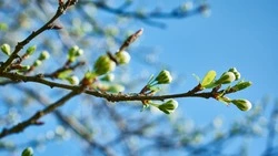 Погода в Сахалинской области на апрель 2022 года: ждать ли весеннего тепла