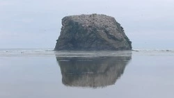 Уголовное дело по факту браконьерства в Макаровском районе передали в суд