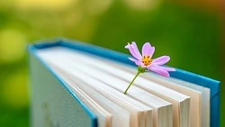 Тест на знания: если блестяще справитесь с 10 вопросами, то все премии ваши