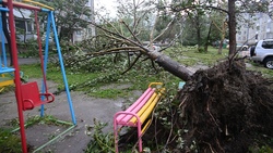 Южно-Сахалинск после тайфуна: повалены деревья, повреждены крыши, нет света