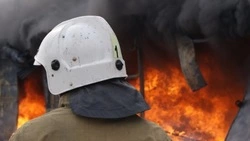 Пожарные за полчаса потушили хозпостройку в долинском СНТ