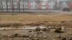 «Работать заставлять их надо!»: житель Охи возмущен бардаком на месте старого дома