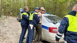 Toyota Vista c пьяным водителем и наркотиками нашли полицейские в Южно-Сахалинске