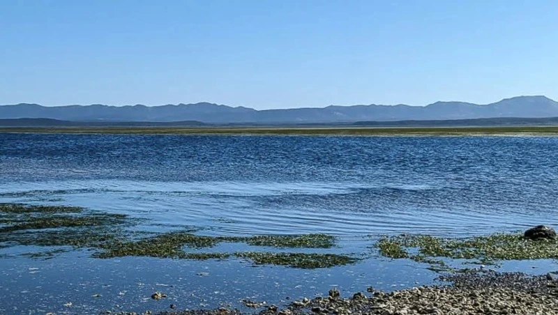 Депутаты и туроператоры обсудили мусор и исчезновение устриц на Буссе