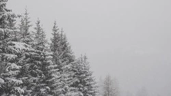 Метель и ураган ждет жителей Сахалина и Курил 27 декабря