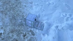 Вандалы сорвали копилку приюта для животных в Поронайске 