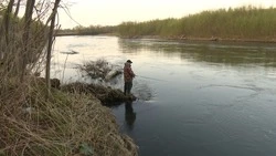 На сахалинской Лютоге открыли лов симы с 1 июня благодаря вмешательству губернатора