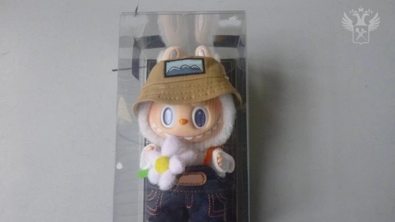 Производитель игрушек Лабубу хочет зарегистрировать в РФ товарный знак Labubu