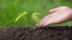 Приметы обо всем на 17 июня 2023 года: что можно и нельзя делать в этот день