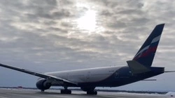 Аэропорт Южно-Сахалинска обслужил свыше 106 тысяч пассажиров за январь 