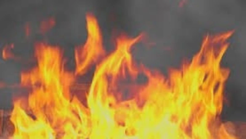  Сухая трава горела у обочины дороги в селе Новая Деревня в Южно-Сахалинске 