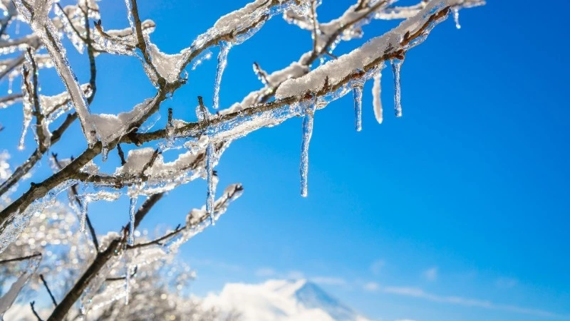 Сухо, но морозно будет в Южно-Сахалинске 27 января