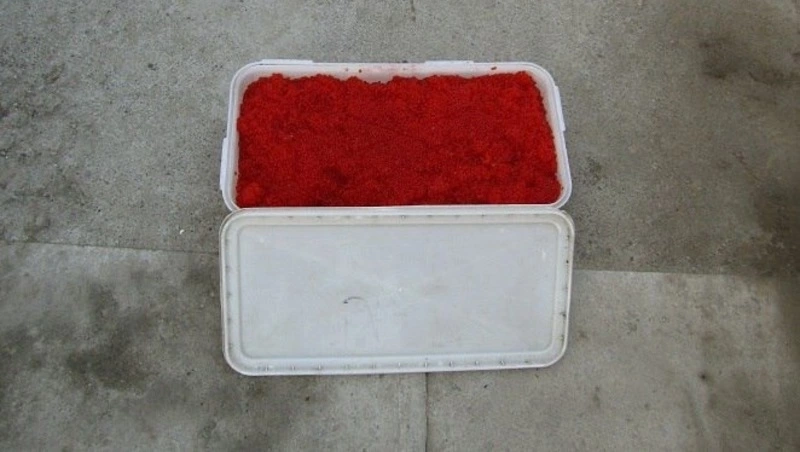 В машине у жителя Поронайска обнаружили 2,5 килограмма купленной у браконьеров икры