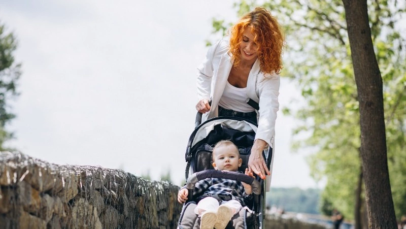 Только 38% жителей Южно-Сахалинска поддержали идею траты маткапитала на учебу родителей