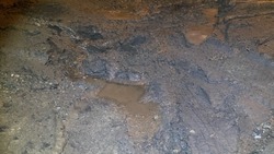 Подрядчик оставил грязь и лужи после работ по газификации во дворе Южно-Сахалинска