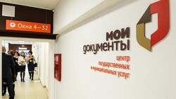 Мэрия Южно-Сахалинска предлагает горожанам получить 10 услуг дистанционно
