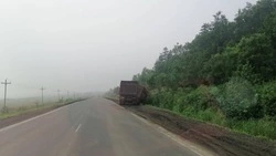 Большегруз съехал в кювет на западе Сахалина: ФОТО