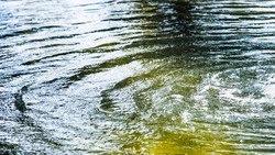 Прокуратура наказала компанию за загрязнение притока Сусуи стоками из ЖК «ROSE TOWN»