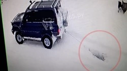 Волонтер из Охи: полиция не спешит с расследованием убийства пса Бобы