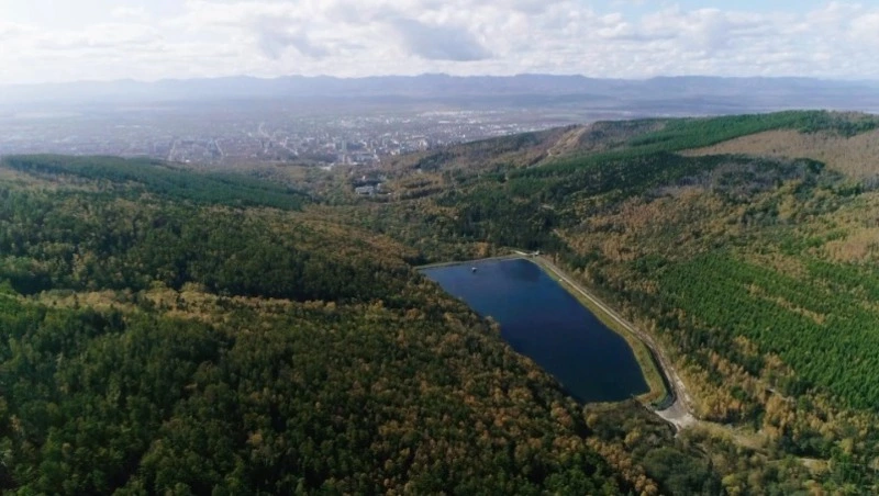 20 миллионов деревьев высадят на Сахалине. Среда Обитания 21.09.23