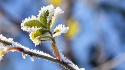 Прогноз погоды на Сахалине и Курилах 16 апреля: свежий ветер и солнце 