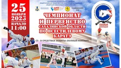 Чемпионат и первенство области по карате пройдут в Южно-Сахалинске 25 ноября 