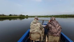 Более 10 нарушений выявили сотрудники рыбоохраны за неделю на Сахалине