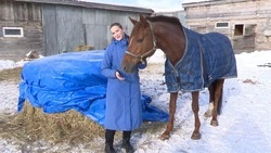 Жизнь после пожара: как восстанавливают конноспортивный клуб «Аристократ»