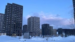 Эксперт: В 2026 году на Сахалине новостройки серьезно просядут, но ИЖС пойдет вверх