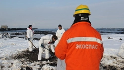 Подконтрольный шельф