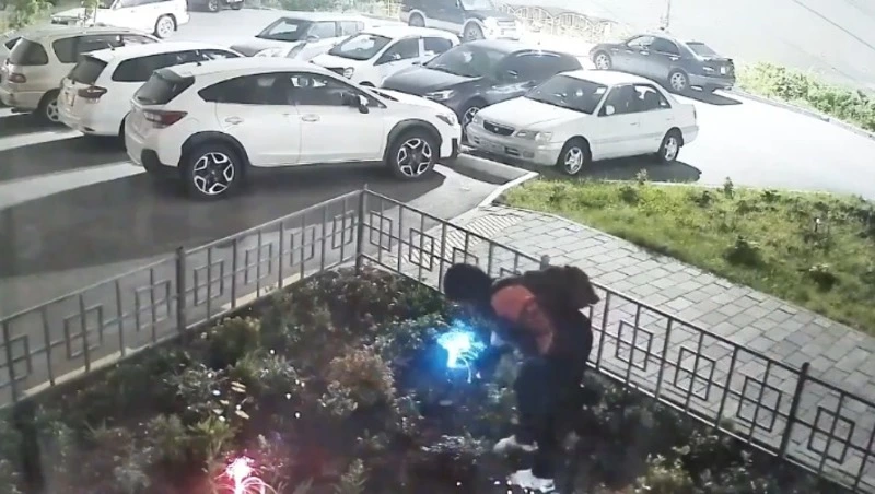 Серийные похитители фонариков продолжают разорять образцовый палисадник в Холмске