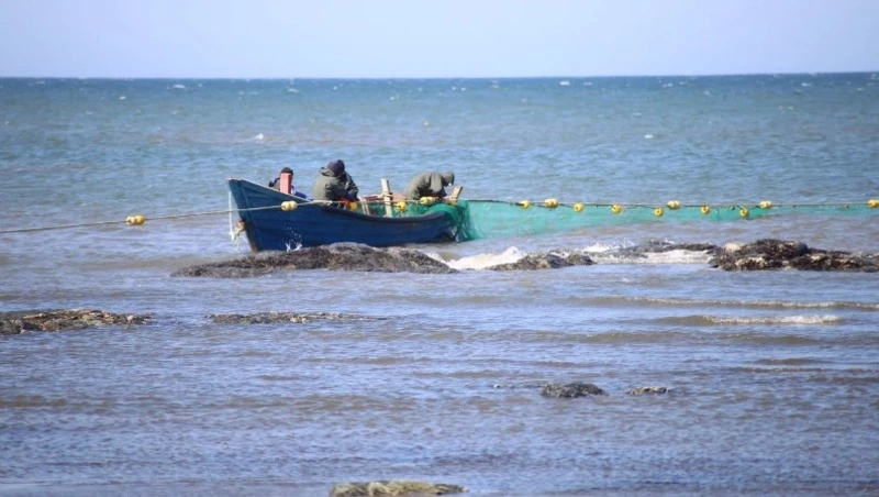 Закредитованные сахалинские рыбаки все еще не готовы к переоформлению лососевых участков