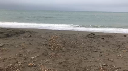 Мэрия Томари нашла пустой пляж без рыбаков