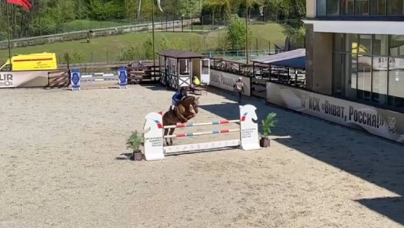 Сахалинец завоевал шесть наград всероссийских соревнований по конкуру