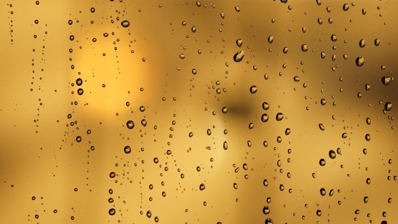 Дожди возвращаются: погода в Сахалинской области на пятницу, 20 мая