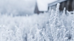 Сильный мороз и тихий ветер: прогноз погоды на 4 января в Сахалинской области