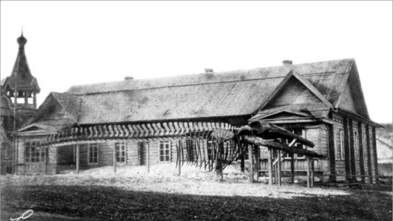 Хранители истории: музеи на Сахалине и Курилах отмечают 130-летний юбилей